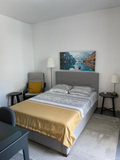 Park Apartment - Timişoara - 8