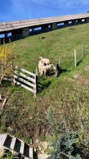 Moserwirt Pension - 3