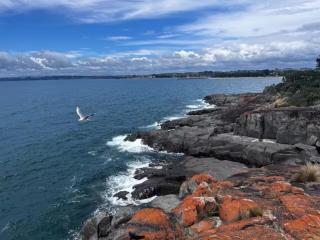 The Dannebrog Lodge - Devonport - 9