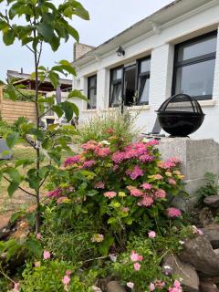Le petit paradis - Cassel - 5