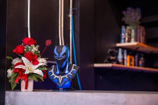Black Panther Hostel - 3