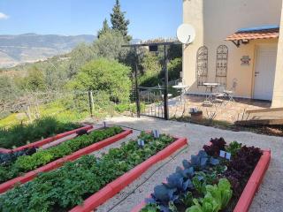 הבית ליד הבוסתן - 8