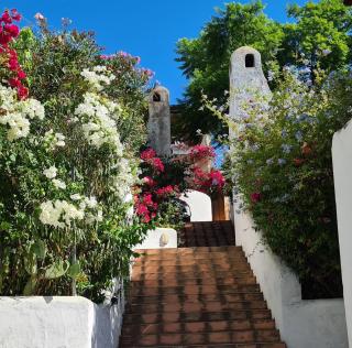 Casa Vacanze La Stella di Capo Blu - 1