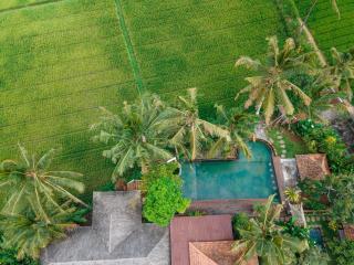 Uma Linggah Resort by Puri Signatures - Tampaksiring - 9
