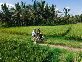 Uma Linggah Resort by Puri Signatures - Tampaksiring - 4