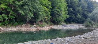 Holiday bungalows Pajkovir - 1