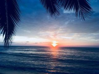 Chucho's mom house - 4