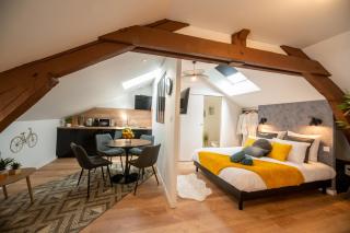 Appart-hôtel de standing avec jacuzzi privatisable en option - Périgueux - 8