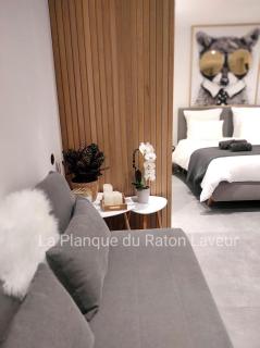 La planque du raton laveur - Lierneux - 6
