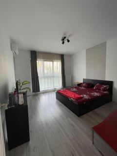 Manhattan Studio in Bucharest - Bucharest - 8