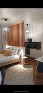 Appart-hôtel de standing avec jacuzzi privatisable en option - Périgueux - 5
