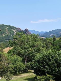 B&B il Tartufo - Sozzi - 4