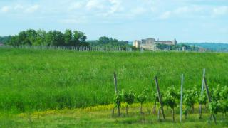 Chambre d'hôtes Le Paon Blanc - 1