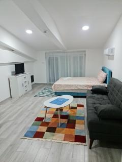 Studio apartmani Banja Koviljaca - Banja Koviljača - 7
