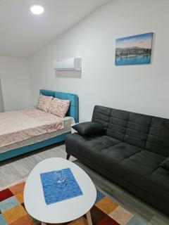 Studio apartmani Banja Koviljaca - Banja Koviljača - 6