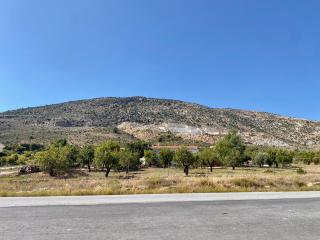 Alojamiento Rural Mar de Olivos - Castril - 1