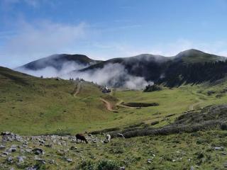 Cabane dans les bois avec vue sur les Pyrénées - Saint-Laurent-de-Neste - 1