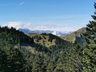 Cabane dans les bois avec vue sur les Pyrénées - 2