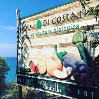Albergo Olmitello - cucina vegetariana bio e tradizionale - Ischia - 3