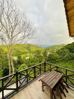 Greenlife Dağevleri - Rize - 5