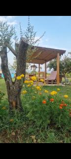Ballkan B&B 1 - Shkodër - 6
