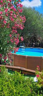 Residence San Antonio - Marina di Camerota - 3