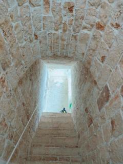 Dimora Storica Il Tiglio - Castellana Grotte - 7