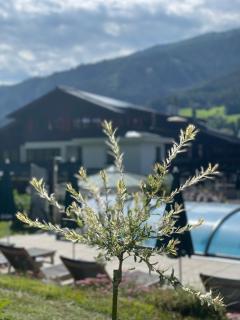 Hotel Senningerbräu - Bramberg am Wildkogel - 6