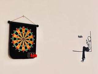 HeyMuji Projector-Netflix-Darts-Near Lotus - 4