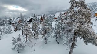 Les myrtilles La Pierre Saint Martin - 8