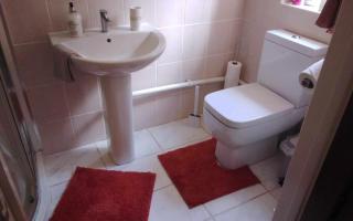 Self-catering guest annex - Norwich - 4