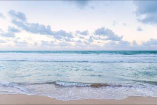 Flat térreo 2 quartos no Marulhos Resort - E- Beira mar Muro Alto - 6