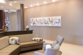 SpringHill Suites by Marriott Dallas Lewisville - Lewisville - 8