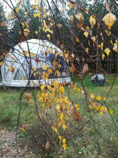 Glamping Drzwi Do Lasu - 0