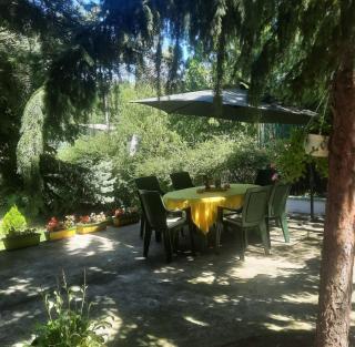 Šumska kuća Atina - Devojački Bunar - 9