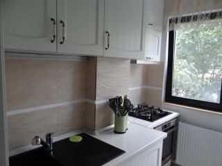 Apartament de lux white&red - Suceava - 1
