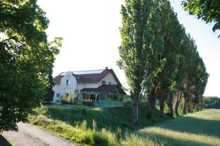 Rosenhotel - Serviced Apartments - Zwentendorf - 0