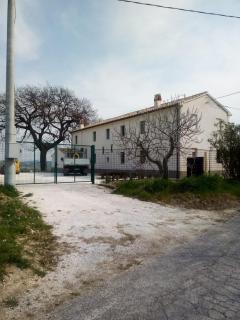 Casa Caminate - Duplex Oliveto - Fano - 1