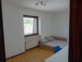 WORKATION Taunus Jaguar Zentral Viel Platz Comfort 6 Personen Küche, Waschmaschine & Trockner - Kelkheim - 5