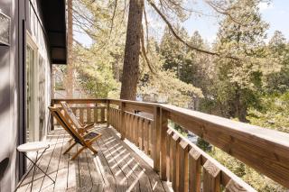 Modern Designer Cabin, Newly Renovated, EV Charger, Arcade, Kids Bunkbed, Minutes to Lake Arrowhead and Lake Gregory - Twin Peaks - 8