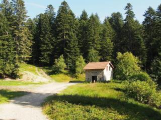 Chalet familial spacieux avec sauna au cœur du Bessat - FR-1-496-24 - 1