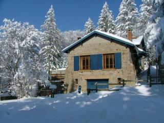 Chalet familial spacieux avec sauna au cœur du Bessat - FR-1-496-24 - 0
