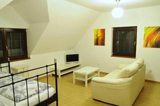 Apartmány pod lípou - Horní Heřmanice - 9