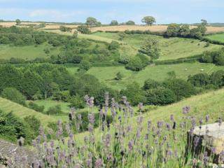 The Old Stable, Llancarfan - Llancarfan - 0