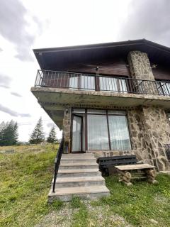 Cottage in Bakuriani - Bakuriani - 0
