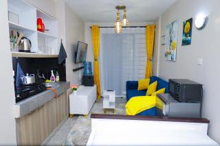 Superb Studio Apartment - Nairobi - 5