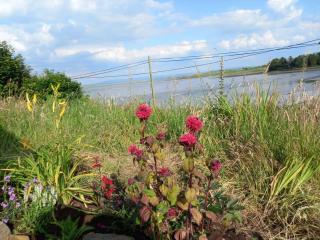 1 Quay Cottages Relaxing 3 bedroom on Sea-Front - Killala - 9