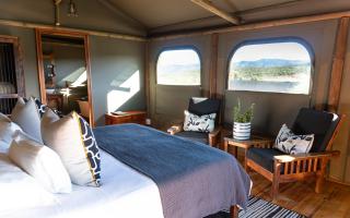 Buffelsdrift Game Lodge - Oudtshoorn - 4