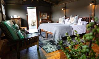 Buffelsdrift Game Lodge - Oudtshoorn - 8