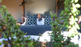 Buffelsdrift Game Lodge - Oudtshoorn - 7